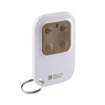télecommande deltadore porte cle alarme auto