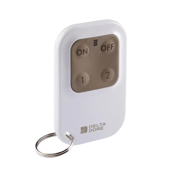 télecommande deltadore porte cle alarme auto