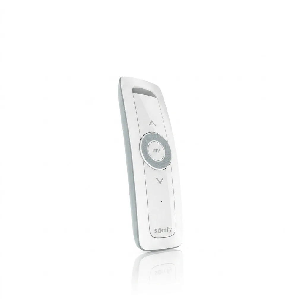 TELECOMMANDE SOMFY SITUO IO 1 CANAL